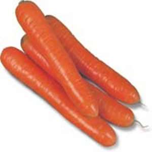 Колтан F1 - морква, 100 000 насінин, encr (1,6-1,8), Nunhems фото, цiна